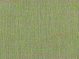 Sunbrella Cassava Spring (44496-0006)